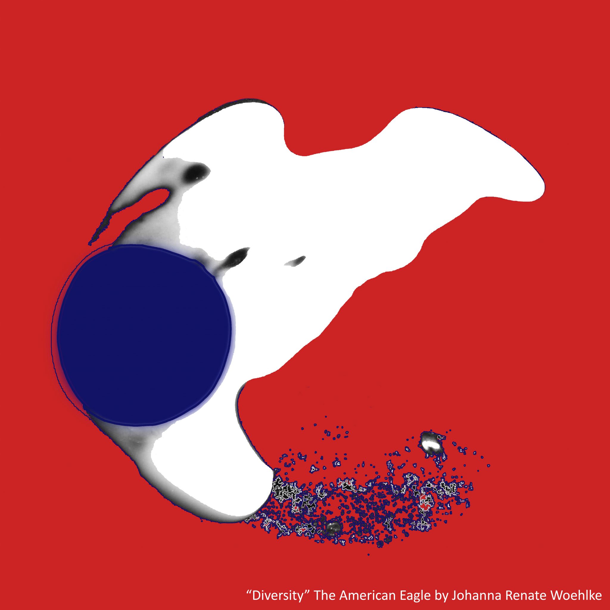 Discovery, The American Eagle by Johanna Renate Woehlke